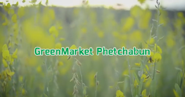 Green market เพชรบูรณ์ ต้นแบบบูรณาการความร่วมมือสู่สินค้าเกษตรปลอดภัย